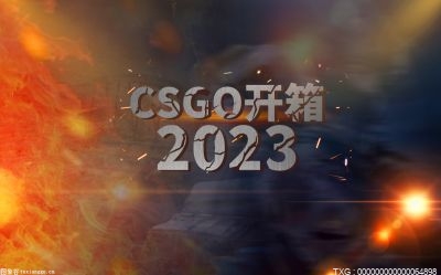 用CSGO开箱要花多少钱?CSGO开箱是否保底?